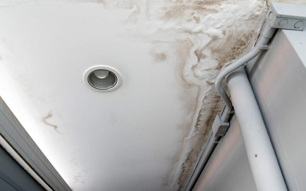 Worm's eye view of a ceiling affected by water damage and mold