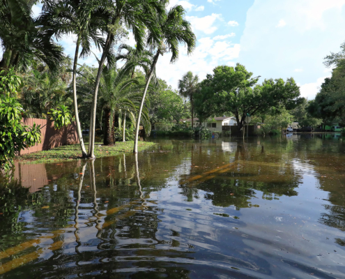 Twenty five inches of rain in 24 hours floods local Fort Lauderdale neighborhood streets