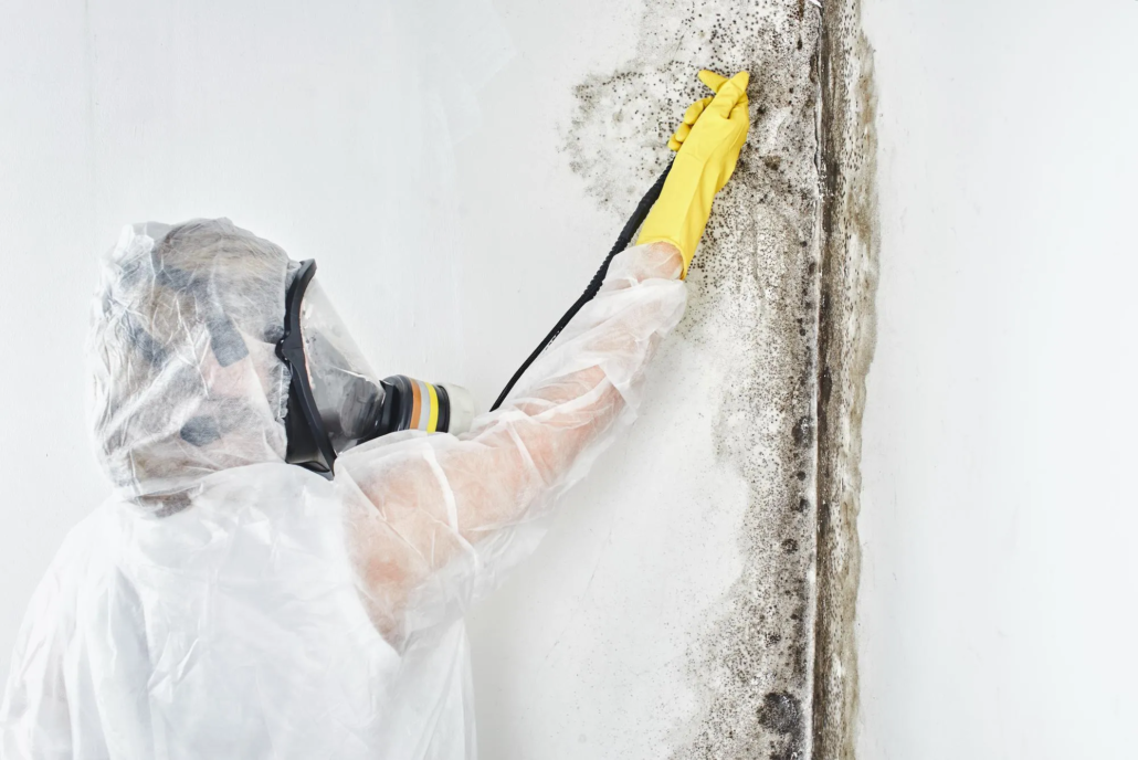 Professional Commercial Mold Remediation in San Antonio Texas: Complete Guide to Protecting Your Business 131 Professional Commercial Mold Remediation in San Antonio Texas Complete Guide to Protecting Your Business