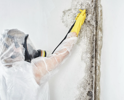 Professional Commercial Mold Remediation in San Antonio Texas: Complete Guide to Protecting Your Business 1 Professional Commercial Mold Remediation in San Antonio Texas Complete Guide to Protecting Your Business