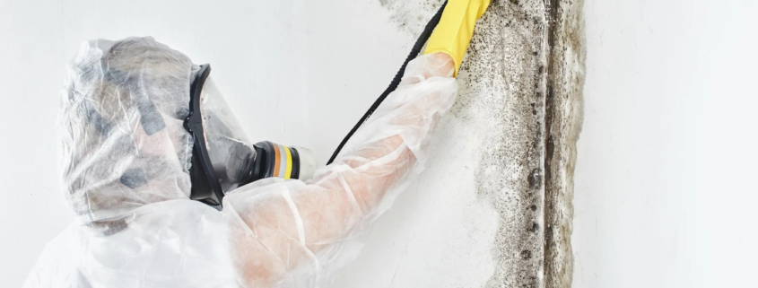 Professional Commercial Mold Remediation in San Antonio Texas: Complete Guide to Protecting Your Business 1 Professional Commercial Mold Remediation in San Antonio Texas Complete Guide to Protecting Your Business