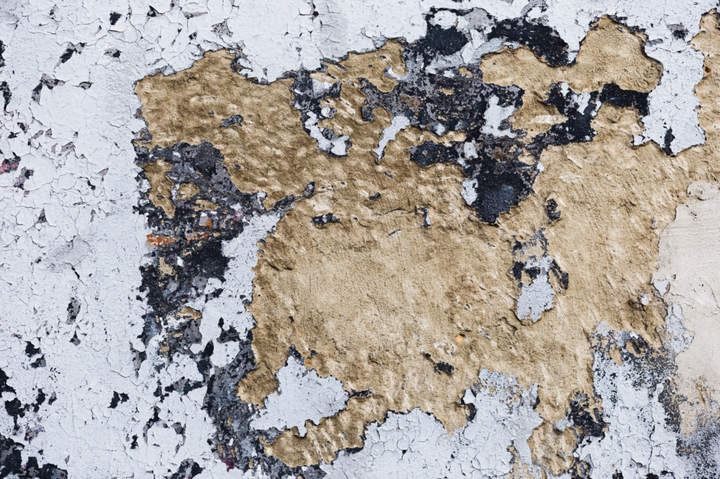 How to Choose the Best Water Damage Restoration Companies Near Me: Your Complete San Antonio Guide 109 How to Choose the Best Water Damage Restoration Companies Near Me