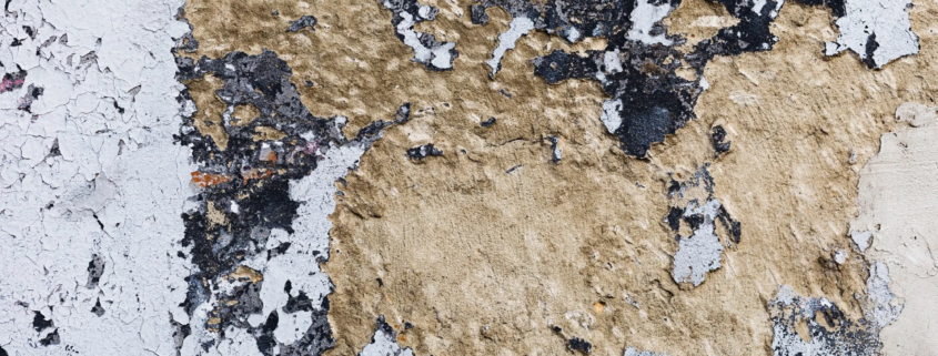 How to Choose the Best Water Damage Restoration Companies Near Me: Your Complete San Antonio Guide 1 How to Choose the Best Water Damage Restoration Companies Near Me