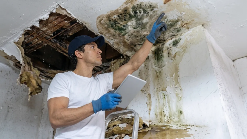 Residential Water Damage Restoration: A Complete Homeowner's Guide to Recovery 28 Residential water damage restoration technician inspecting moisture levels in a San Antonio home