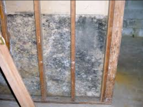 Water Damage Restoration Leon Valley: 5 Powerful Reasons Local Response Time Makes All the Difference 3 Hidden mold discovered during water damage restoration Leon Valley TX behind drywall