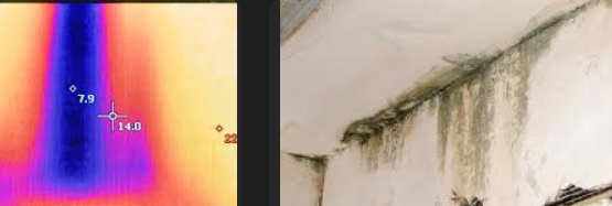 Water Damage Cleanup Services: What's Included And How To Know If You're Getting It All 2 water damage cleanup services thermal imaging revealing hidden moisture in walls