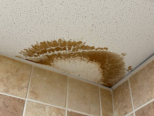 HOA Responsibility Water Leak : 7 Critical Things Every Homeowner and Property Manager Must Know Before It's Too Late 3 HOA responsibility water leak ceiling damage in condo unit from upstairs neighbor