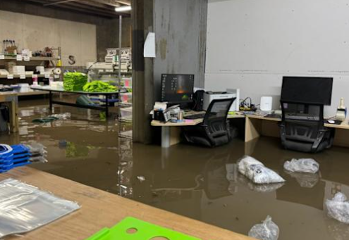 Commercial Water Damage Restoration Services: 7 Powerful Truths Every Business Owner Must Know 11 Commercial water damage restoration services team assessing flooded office space in San Antonio Texas