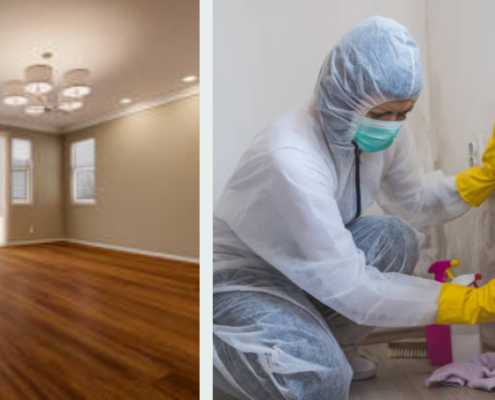 Remediation vs Restoration: What's the Difference and Which One Do You Actually Need? 18 Remediation vs restoration side by side comparison in property recovery