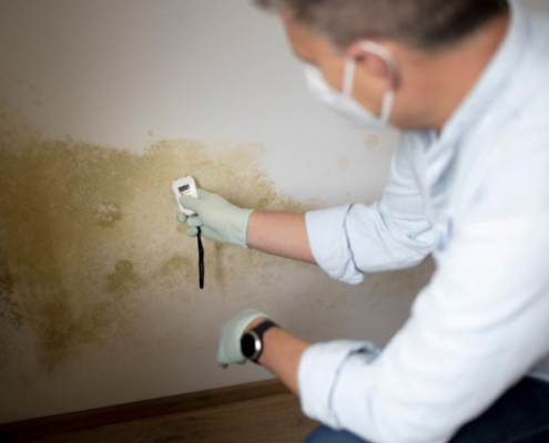 7 Proven Signs You Need a Water Damage Repair Expert Before It Gets Worse 4 Water damage repair expert using moisture meter on damaged wall in San Antonio