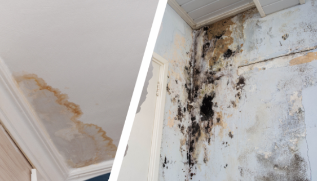 7 Proven Signs You Need a Water Damage Repair Expert Before It Gets Worse 4 Cost of delaying water damage repair expert assessment in San Antonio property