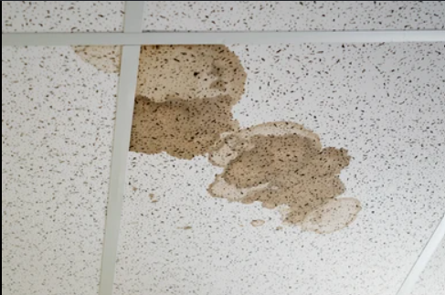 The Ultimate Guide to Commercial Water Restoration: 5 Critical Steps Every Business Owner in San Antonio Must Know 2 Commercial water restoration needed after burst pipe damage in San Antonio office building