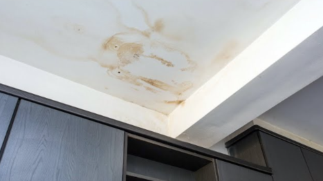 7 Proven Signs You Need Water Damage Experts Before It's Seriously Too Late 2 Water damage experts identify ceiling water stains in San Antonio Texas properties
