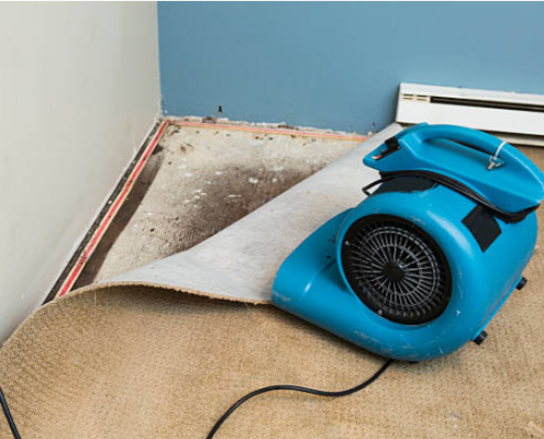 The Ultimate Guide to Commercial Water Restoration: 5 Critical Steps Every Business Owner in San Antonio Must Know 3 Commercial water restoration team working in flooded San Antonio business property